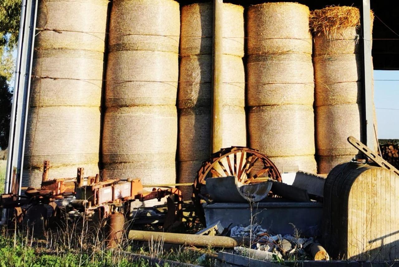 Podere Montecorno Alberese Dış mekan fotoğraf