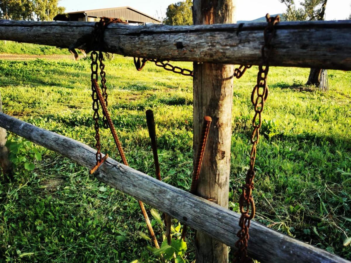 Podere Montecorno Alberese Dış mekan fotoğraf